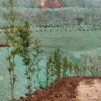 綿陽推進涉礦生態環境問題綜合整治，近一年實地檢查礦山超100座