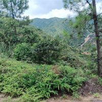 2礦同出！260萬方/年！廣東砂石大礦掛牌出讓